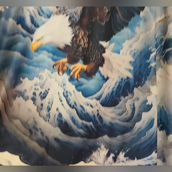 THE EAGLE AND KANAGAWA MEN'S SIZE L SHORT-SLEEVE TEE TSUNAMI REMEMBRANCE. - Picture 7 of 9